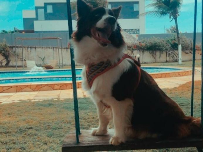 קנואה קבראדה Pousada Canoa Beach מראה חיצוני תמונה